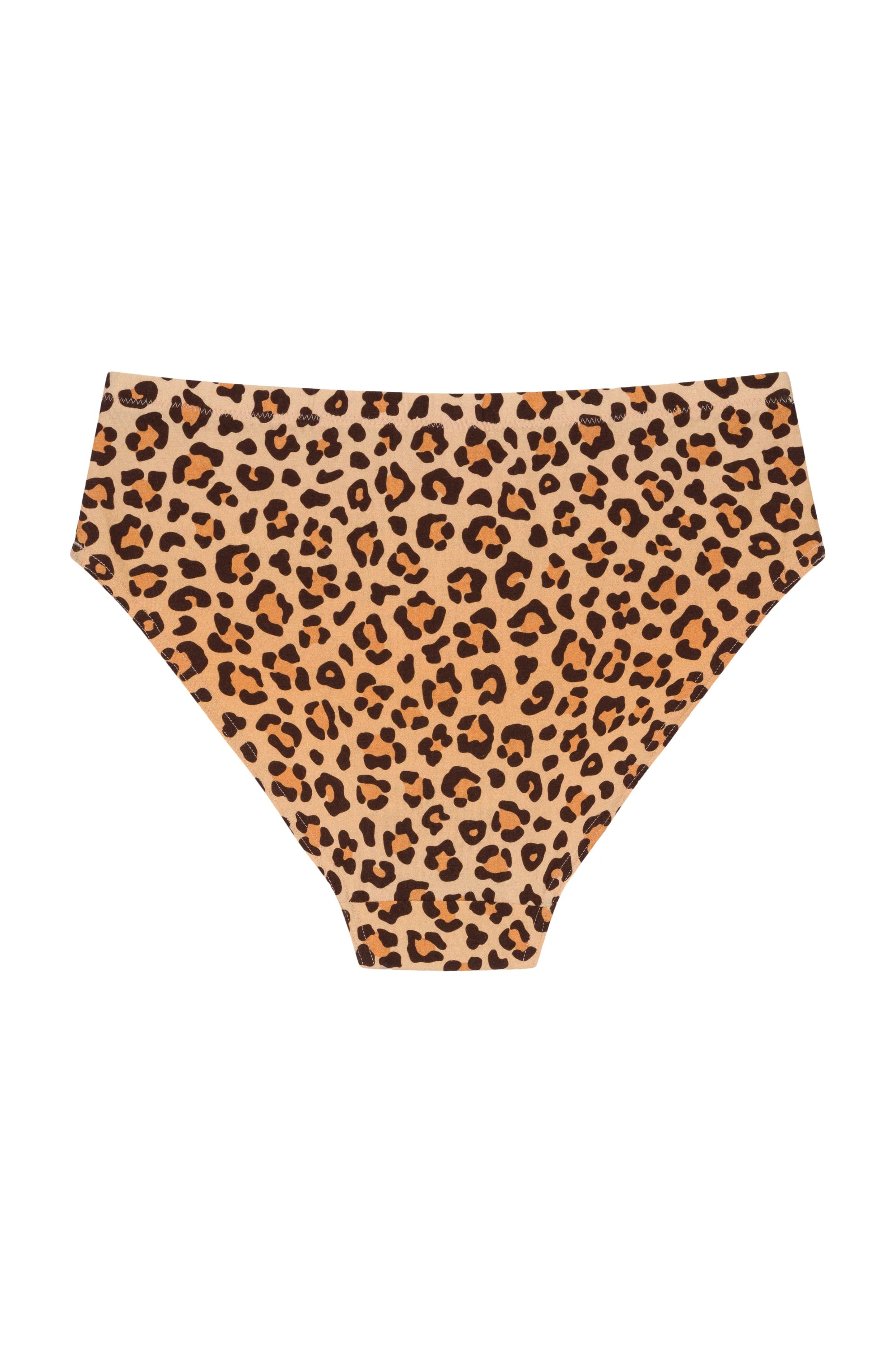 BRIEFS | leo